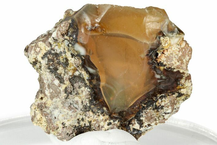 Rough Oregon Fire Opal #330545